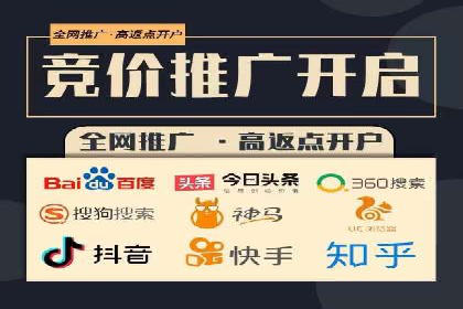 SEM推广案例：揭秘高ROI背后的策略与实践